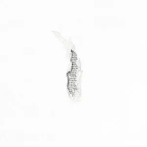 Les gens passent, le tempe reste